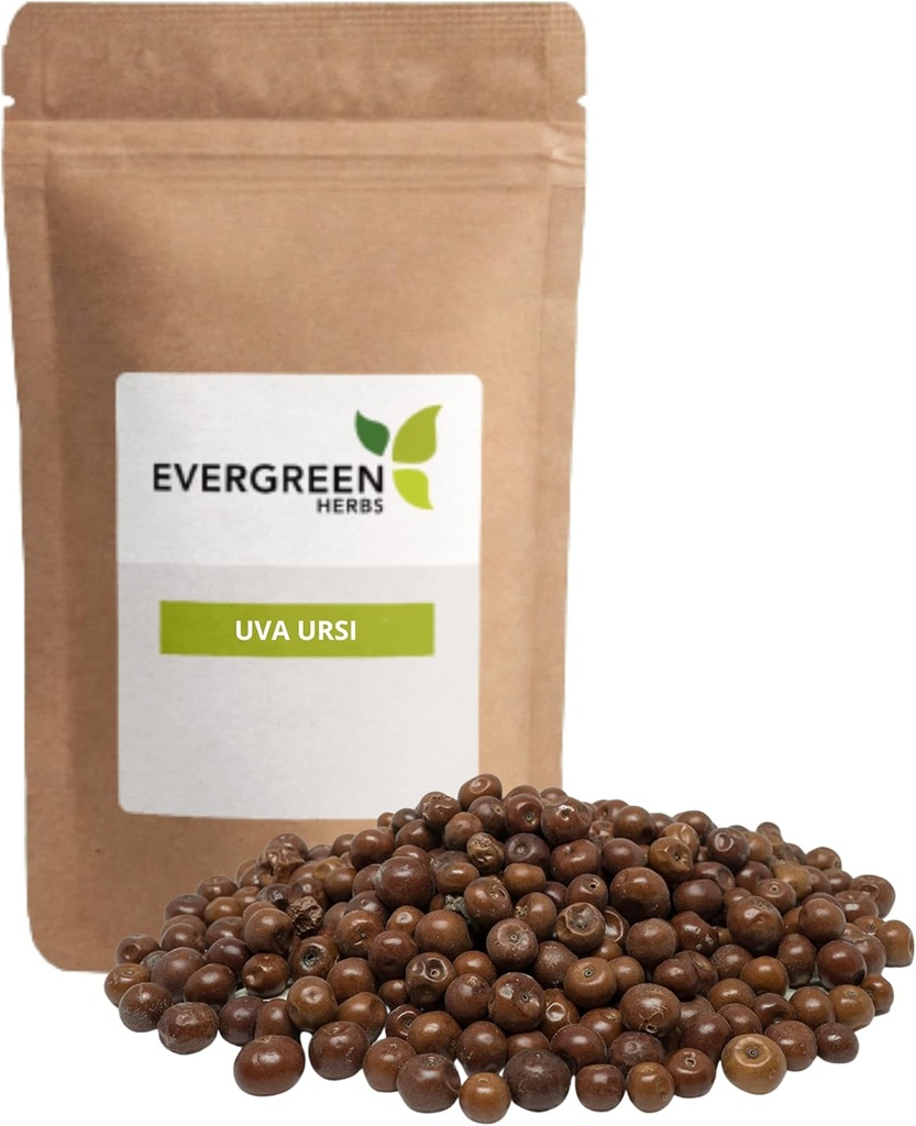 Herbs Evergreen Pinguica Fruto - Uva Ursi Fruit (8 oz.) - Resealable Stand Up Pouch para garantizar la frescura!