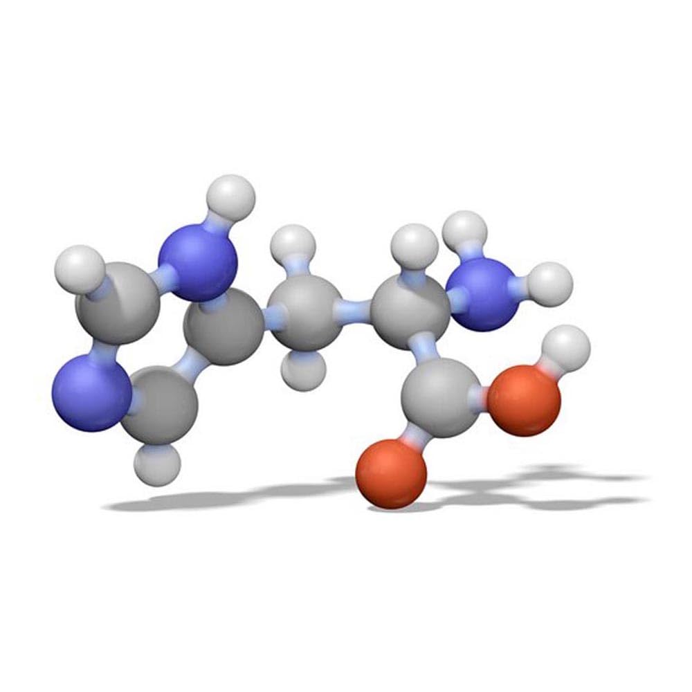 EMD Millipore 555682-10GM Calbiochem Riboflavin Vitamina B2, 10 g