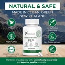 Palmitoylethanolamide Pea Suplemento 600mg - Micronized Pea Suplementos 99% - 2 meses Suministro - Advanced Natural Support for Joint Comfort