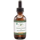 Remedios nativos Defensa inmune 14 Mushroom Blend para proteger y mantener la función del sistema inmunitario, 2 Fl oz.