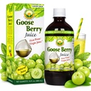 Basic Ayurveda Gooseberry Juice ← Pure Amla Fruit Juice Silencio No Sugar Añadido Silencio Fuente natural de Vitamina C habit for Hair, Eye, Teeth ' Nails  16.23 Fl Oz/480ml