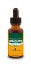 Herb Pharm Andrographis Liquid Extract for Immune System Support, 1 Fl Oz (Pack of 1) (DANDRO01)