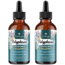 Polyphenols Suplemento Liposomal, Más de 27 Polyphenol Complex &amp; Powerful Antioxidant, con MCT & Olive Oil, Quercetin Extract, Hawthorn Berry Extract, for Age Defense, Energy, Immune, 240 ML