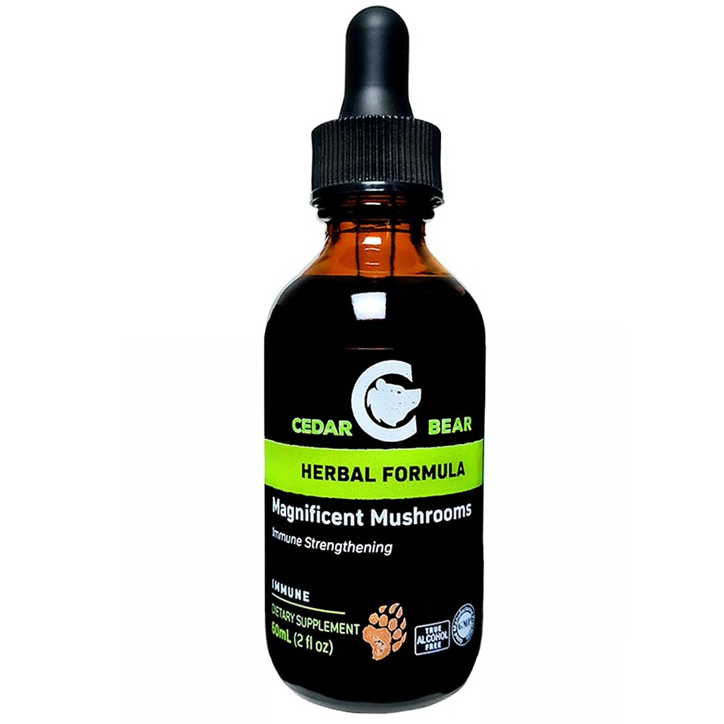Oso de Cedro Magníficos Setas un Suplemento Herbal Líquido que Construye El Sistema Inmunitario, Protege, Fortalece y Balances Salud Global 2 Fl Oz