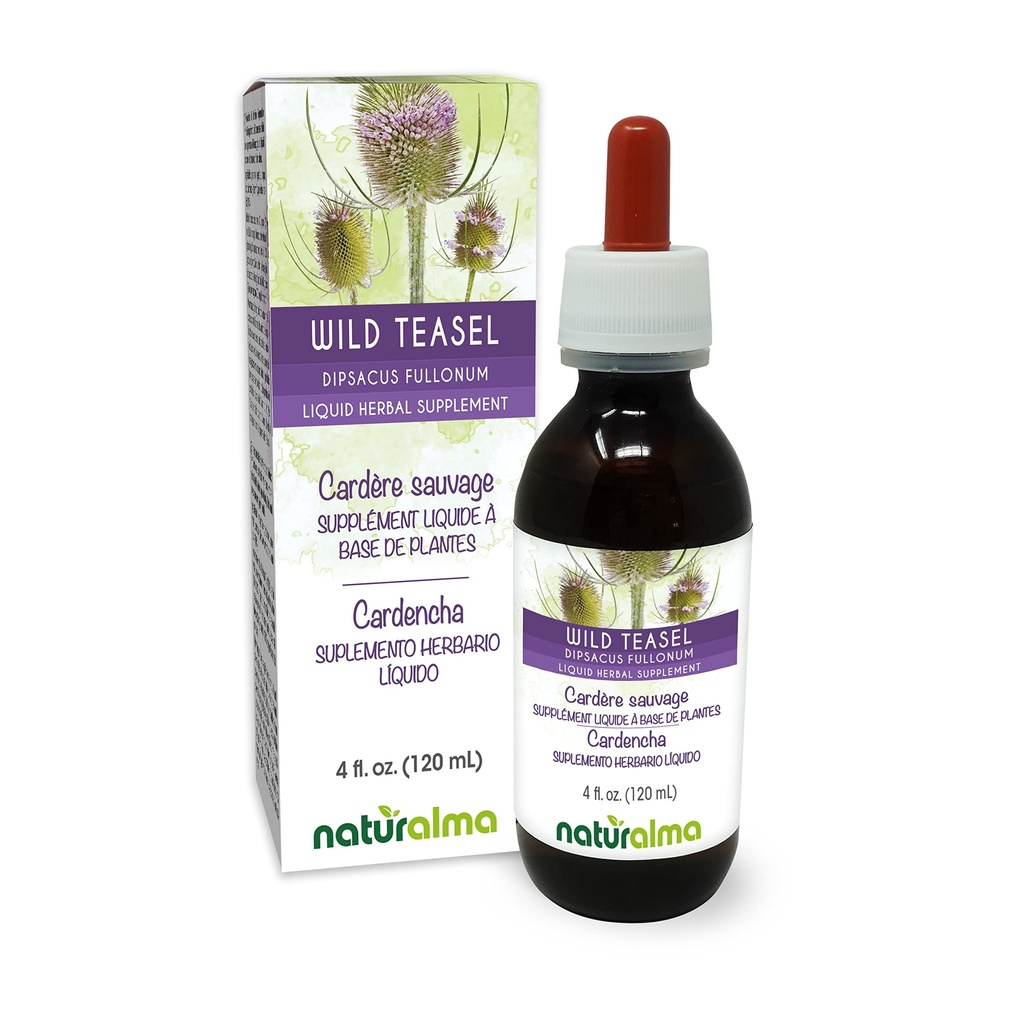 Naturalma Wild Teasel o Fuller's Teasel (Dipsacus fullonum o D. sylvestris) Root Alcohol-Free Tintura - 4 fl oz Liquid Extract in Drops - Herbal Supplement - Vegan