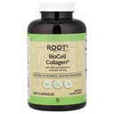 Vitacost ROOT2 BioCell Collagen With Hyaluronic Acid -- 100 Milligram Por Serving - 240 Capsules