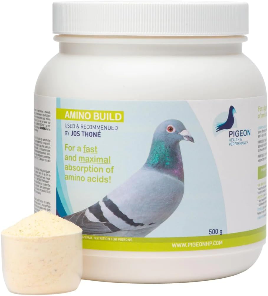 Genérico PHP Amino Build 500g - Muscle-Building Amino Acids Pigeon Health & Performance