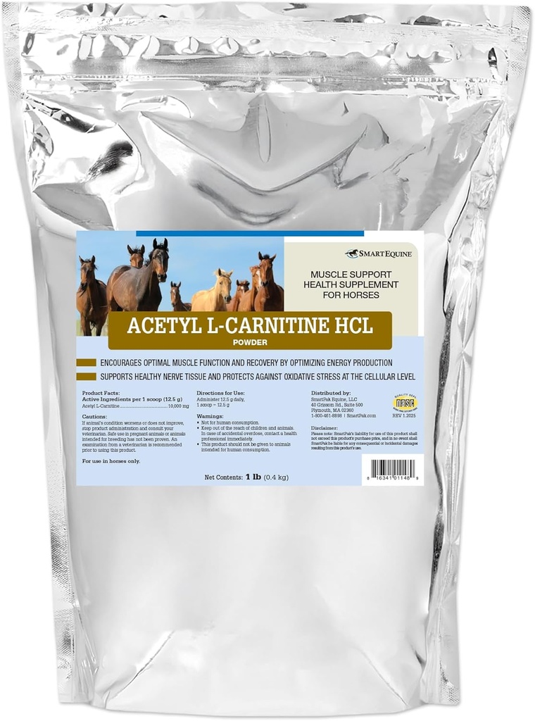 Acetyl L-Carnitine HCL Powder | Horse Energy Supplement & Muscle Supplement for Horses Supporting Muscle Function & More | Antioxidant-Rich Pure Formula | 1 lb Bag