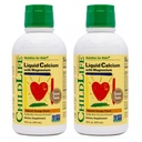 ChildLife Essentials Suplemento de calcio líquido para niños - Calcio bebé con magnesio, zinc y vitamina D3 - sabor a naranja, 16 fl oz (2 Pack)