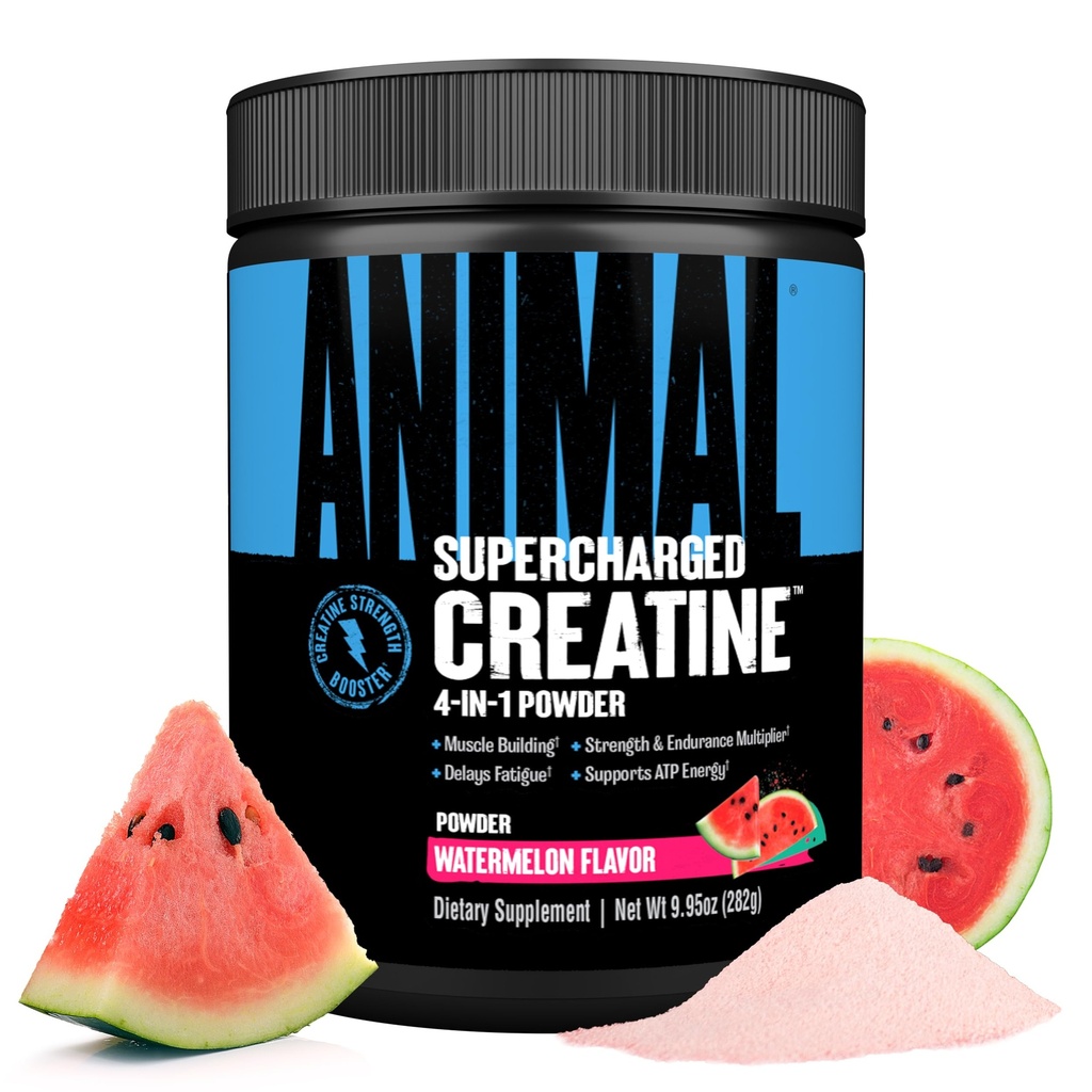 Powder de Creatina Supercarga de Animales - Monohidrato de Creatina Sabor Mejorado con Betaine Anhydrous, PurpleForce & Senactiv, Fuerza, Resistencia, Recuperación de Musculos para Hombres y Mujeres - Watermelon, 300g