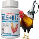 Farmalab B12 B15 para Roosters B15 B12 para Gallos 100 Tablets