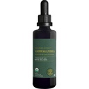 Global Healing Center - Organic Ashwagandha Supplements Drops - KSM-66 Ashwagandha Extra Strength for Men ' Women, Helps Promote Relief from Stress, Mood Support, Organic (2 Fl Oz)
