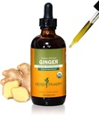 USDA Organic Ginger Root Extract*: Digestion " Circulatory Apoyo ¦ Ginger Tincture for Occasional Nausea ← Non-Bitter Vegan Digestive Supplement TEN 4 Oz, Hasta 3 meses de suministro