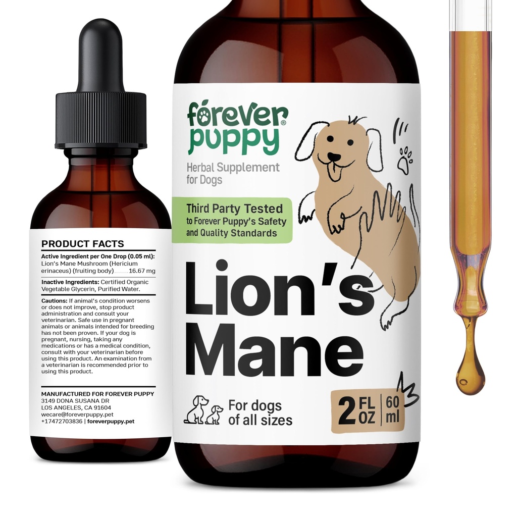 Para siempre Puppy Lions Mane Mushroom Suplemento para perros - Cerebro &amp; Foco Soporte - Liquid Lion's Mane Mushroom for Dogs - Vitaminas y Suplementos Caninos - Azúcar &amp; Gotas sin alcohol - 2 fl oz