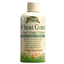 Garden Greens Wheat Grass Liquid with Real Ginger Extract, Nature's Perfect Superfood, 32 porciones
