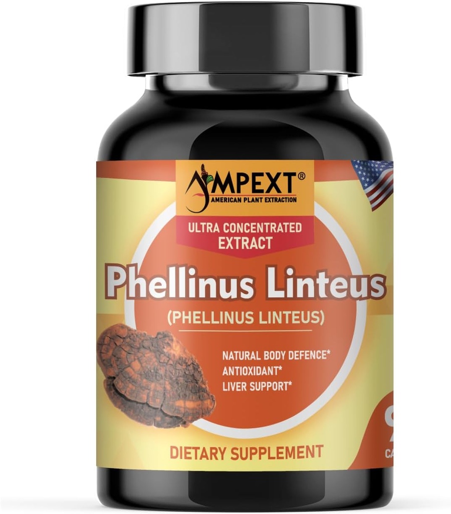 Phellinus linteus Extracto de hongos - Calidad Premium, Solo Cuerpos de Fruto, Antioxidante, Booster de Inmunidad, Soporte de hígado, 90 Caps de Veg.