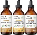 Mane de león orgánico salvaje, Turquía Tail & Chaga Mushroom Tinctures