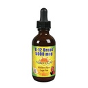 La vida de la naturaleza B-12 gotas, Methlycobalamin 4 oz (2 Fl Oz (Pack of 1))