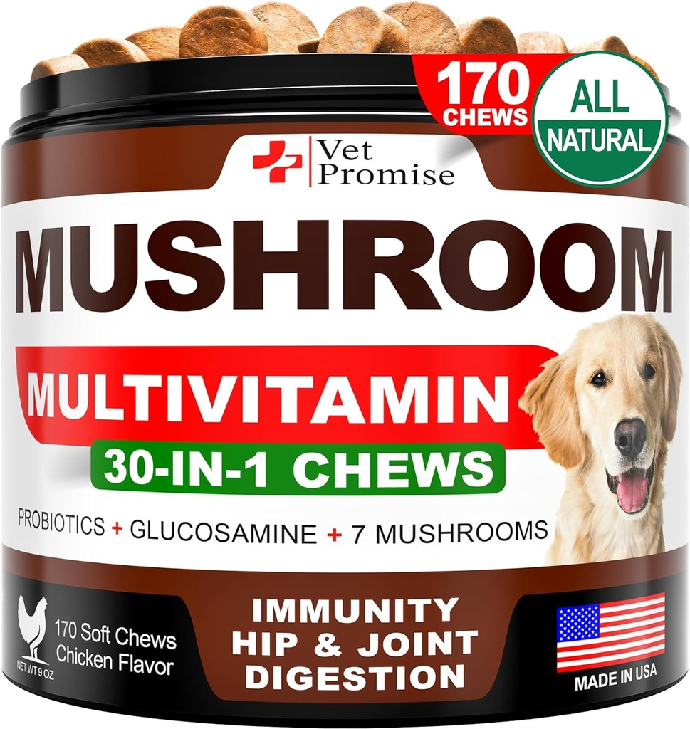 Mushroom para perros - 170 Chews - Turquía Tail - Suplemento de Mushroom para perros - Lions Mane - Reishi - Immunity Support Multivitamin Vitaminas - Joint Health - Energy - Gut - Skin - Made in USA