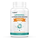 Orgabay Liposomal NAD+ Suplemento 500 mg, Alta Absorción, Boost NAD+ con TMG 250 mg, Actual NAD Plus Más Eficiente que Nicotinamide Riboside, Apoyo Energía Celular, Envejecimiento Saludable 60 Softgels