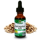 Respuesta de la naturaleza Astragalus Root Alcohol Suplemento herbal gratuito 1 onza ( 2 Pack ) ← Immune Support  Promueve la salud cardiovascular  durable Natural Stress Reliever