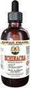Echinacea Extracto líquido libre de alcohol, Echinacea orgánica (Echinacea Purpurea) Dried Herb Glycerite Hawaii Pharm Natural Herbal Suplemento 4 oz