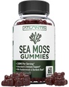 Irlandés Moss Gummies - 3000MG - Formulado w / Moss del Mar Irlandés, Fledderwrack " Burdock Root, Contain Essential Vitamin " Mineral - Antioxidant-Rich Superfood Supplement, 60 Sea Moss Gummies for Adults