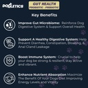 Gut Health Probiotic & Prebiotic - 90ct Soporte Microbioma de estómago, Prevenir Problemas Digestivos, Reducir Problemas de Gland Anal, Mejorar la Función Inmunitaria y Energía Global