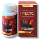B-12 200 Tablets for Birds