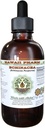 Hawaii Pharm Echinacea Extracto líquido libre de alcohol, Echinacea (Echinacea Purpurea)