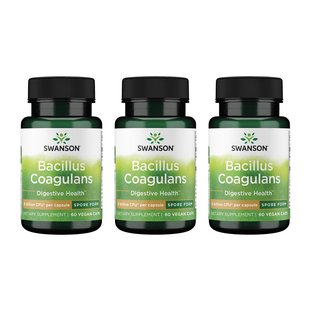 Swanson Bacillus Coagulans - Natural Probiotic Supplement Supporting Digestive Health w/ 6 Billion CFU - May Support GI & General Gut Health - (60 Veggie Capsules) 3 Pack