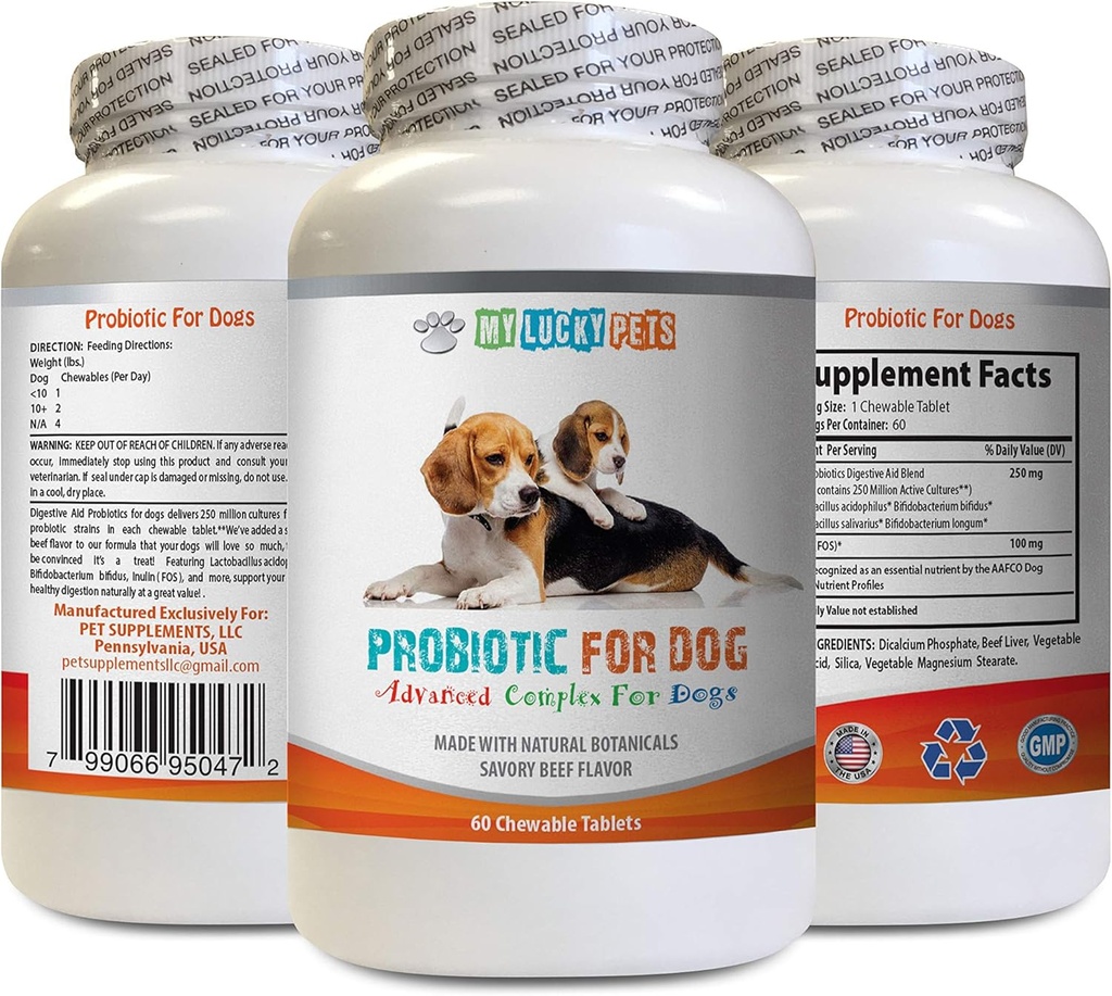 probióticos para perros masticables - PROBIOTICOS para perros - Mala respiración y gas de paso Solución - Oral Health - fos Fórmula - 1 Botella (60 Treats)