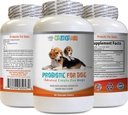 probióticos para perros masticables - PROBIOTICOS para perros - Mala respiración y gas de paso Solución - Oral Health - fos Fórmula - 1 Botella (60 Treats)