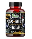 Humming Herbs Ox Bile with Digestive Enzymes & Pre/Probiotics 90 Veg Caps Cholic Acid, Inulin, Betaine HCl, Peppermint, Bromelain Healthy Digestion & Nutrient Absorption - Bile Salts Supplement