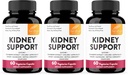 Sandhu's Kidney Cleanse Detox & Repair Support Suplemento para Hombres y Mujeres TENIDO con Cranberry Extract TEN Ayuda Apoyo Kidney & Urinary Salud Tract ← 60 cápsulas vegetarianas (Pack of 3)