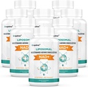 Orgabay Liposomal NAD+ Suplemento 500 mg, Alta Absorción, Boost NAD+ con TMG 250 mg, Actual NAD Plus Más Eficiente que Nicotinamide Riboside, Apoyo Energía Celular, Envejecimiento Saludable 480 Softgels