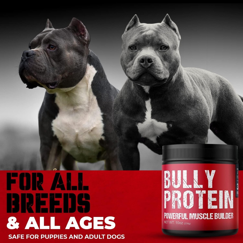 Conveniente Real Meat Protein Powder for Dogs  283mg Pure Protein Powder for All Dog Breeds ← Nourishing Daily Protein Dogs. Resultados rápidos. No necesita carne cruda. 30 días de suministro (60 servicios)