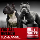 Conveniente Real Meat Protein Powder for Dogs  283mg Pure Protein Powder for All Dog Breeds ← Nourishing Daily Protein Dogs. Resultados rápidos. No necesita carne cruda. 30 días de suministro (60 servicios)