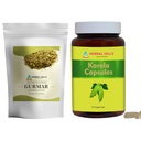 HERBAL HILLS Gurmar Tea Powder y Karela Capsules Pack de 2 Combo
