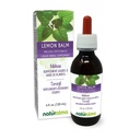 Naturalma Lemon Balm (Melissa officinalis) Leaf Alcohol-Free Tintura - 4 fl oz Liquid Extract in Drops - Herbal Supplement - Vegan