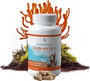 Cortinas de Ciencias de la Seta CS-4 Capsules, Extracto completo del Espectro para la Salud, Energía y Resistencia, Agua caliente extraída, Vegetariano, 400 mg, 90 TC