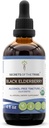 Black Elderberry USDA Organic Tincture ← Alcohol-FREE Extract, High-Potency Herbal Drops, Immune System Health tención Hecho de 100% Certified Organic Black Elderberry (Sambucus Nigra) 4 oz