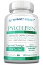 Pyloriprin - Apoyo Digestivo Avanzado para una estomacha saludable - Zinc L-Carnosine, Probiótico, Esprouta de Broccoli, Licorice desgarrada - 60 cápsulas - Suministro de un mes - Vegan