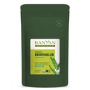 Banyan Botanicals Bhumyamalaki Powder – Suplemento Orgánico de Salud Hígado* – Phyllanthus spp. – para la desintoxicación natural " Limpieza del hígado* – 1/2 libra – No GMO Sosteniblemente Fuente Vegan