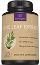 Extracto de hoja de oliva Premium Capsules – Estándarizado a 20% Oleuropeina – Super Strength Leaf Exact Suplemento Soportes Sistema de inmunología & Salud cardiovascular – 750mg Por cápsula – 120 cápsulas