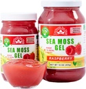 Wildcrafted Irish Sea Moss Gel ← Hecho en EE.UU. Silencio Sea Moss Gel Raw ← Suplemento Nutricional TENIDO Raspberry (16 oz)