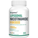 Orgabay Liposomal Nicotinamide Riboside 2000 MG con TMG y Pterostilbene, Boosting NAD+, Support Healthy Aging, 60 Count