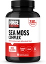 FORCE FACTOR Irish Sea Moss Capsules with Burdock and Bladderwrack for Immunity, Digestion, Heart Health, and Antioxidant Support, Vegan, No Gelatin, 90 Capsules
