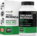 Renovar Activos Moringa Leaf Suplemento 800MG por 2 Capsules- Antioxidante-Rich Moringa Oleifera - Promueve Buena Salud & Bienestar - Fácil de Tragar - Hecho en Canadá - 120 cápsulas