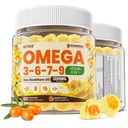 Omega 3-6-7-9 Gummies, Mar Orgánica Buckthorn Oil 1200MG & Flaxseed Oil 500MG, Vegan Omega 7 Suplemento w/Vitamin A, C, E, Fatty Acids, No Fish Taste, Supports Skin, Eye, Immune, Brain Health, 60 Cts